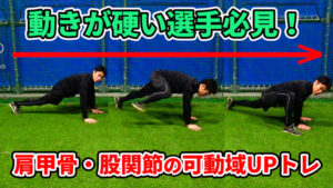 這う動きの中で、関節の可動性を大きくしていこう!のサムネイル