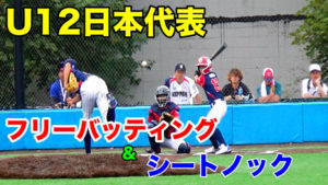 若武者NIPPONはアメリカでどんな練習をしている?のサムネイル